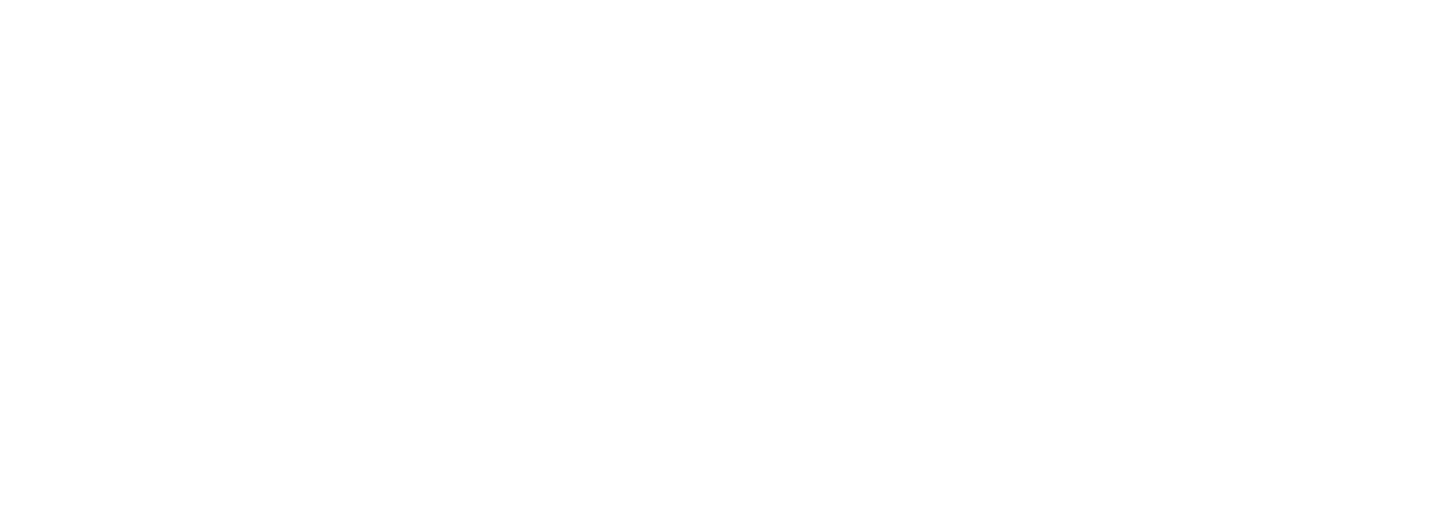 logo light